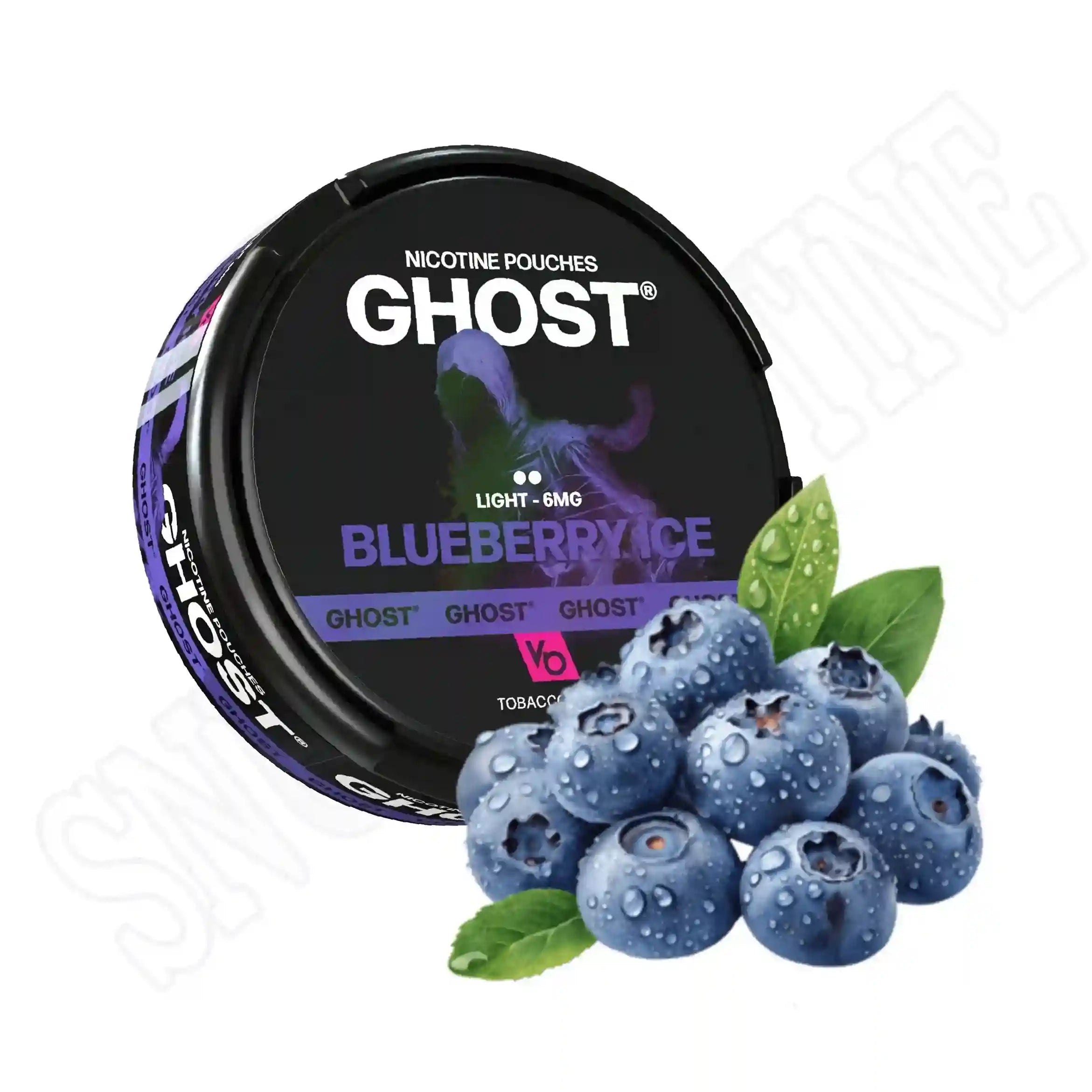 Blueberry Nicotine Pouches
