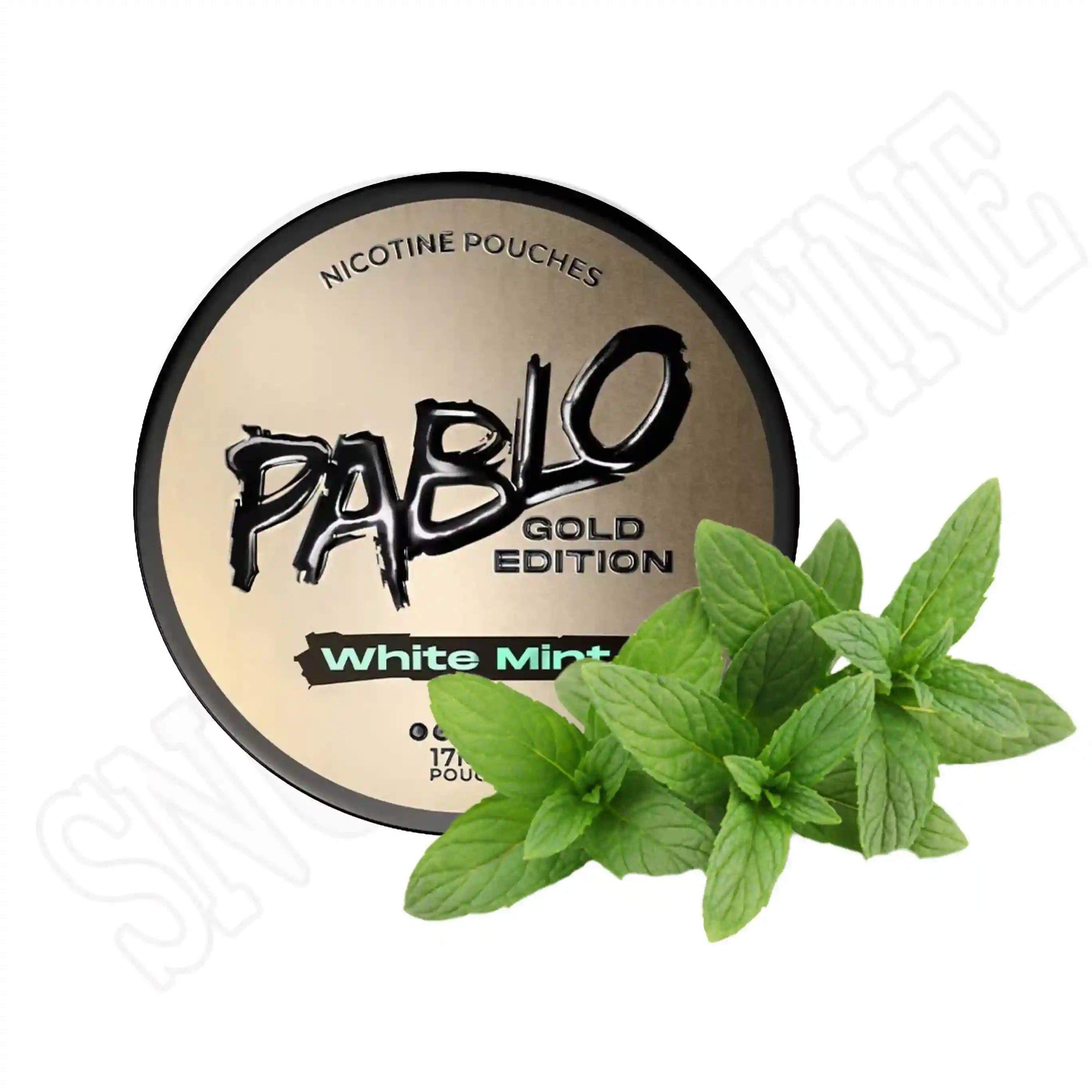 Mint Nicotine Pouches